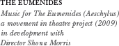 The Eumenide - a  movement in theatre project